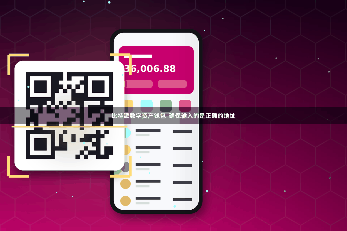 比特派数字资产钱包  确保输入的是正确的地址